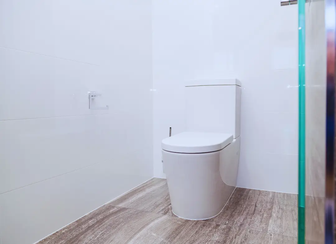 Remplacement de wc La Salvetat-Saint-Gilles