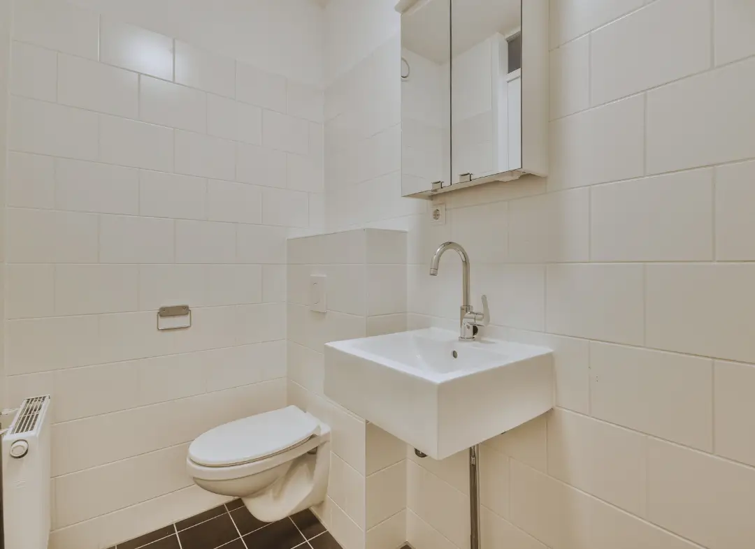 Pose WC Suspendu La Salvetat-Saint-Gilles